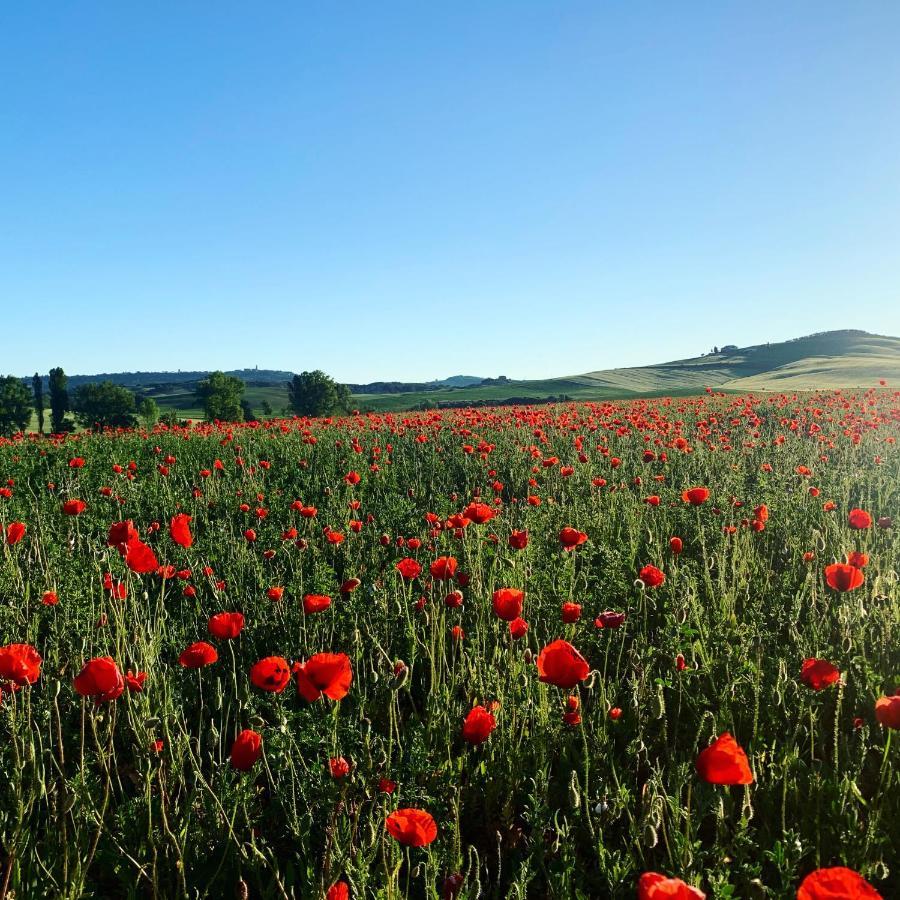 Agriturismo Poggio Tobruk Pienza Exteriér fotografie