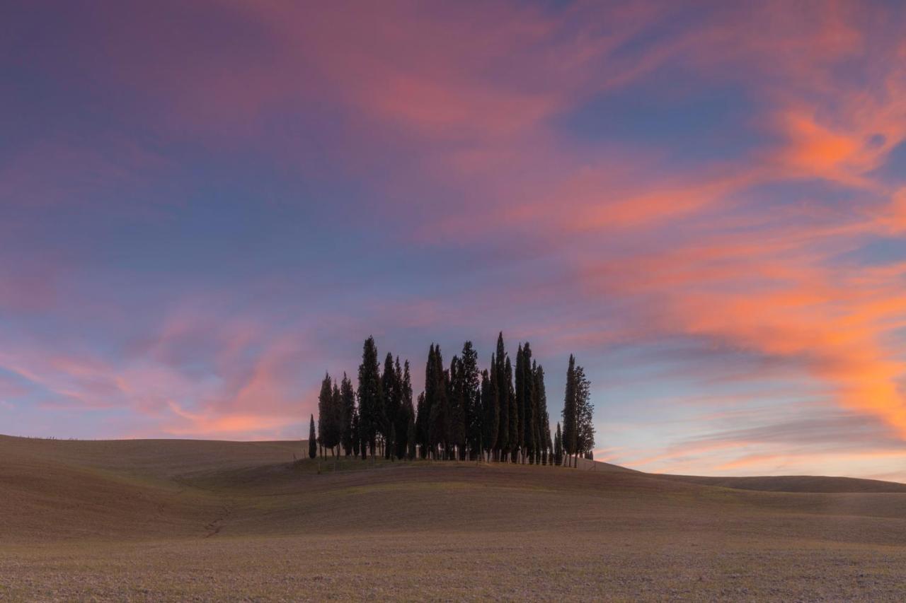 Agriturismo Poggio Tobruk Pienza Exteriér fotografie