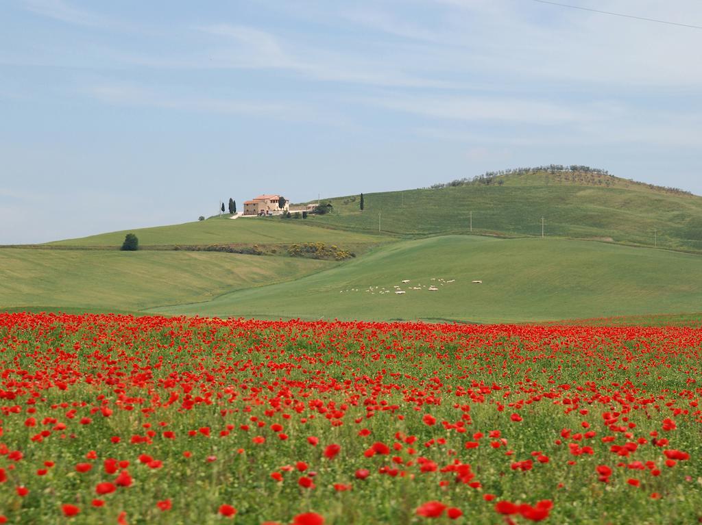 Agriturismo Poggio Tobruk Pienza Exteriér fotografie