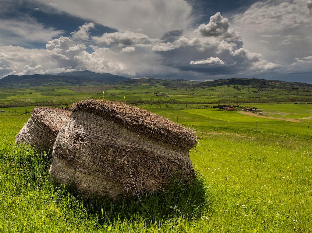 Agriturismo Poggio Tobruk Pienza Exteriér fotografie