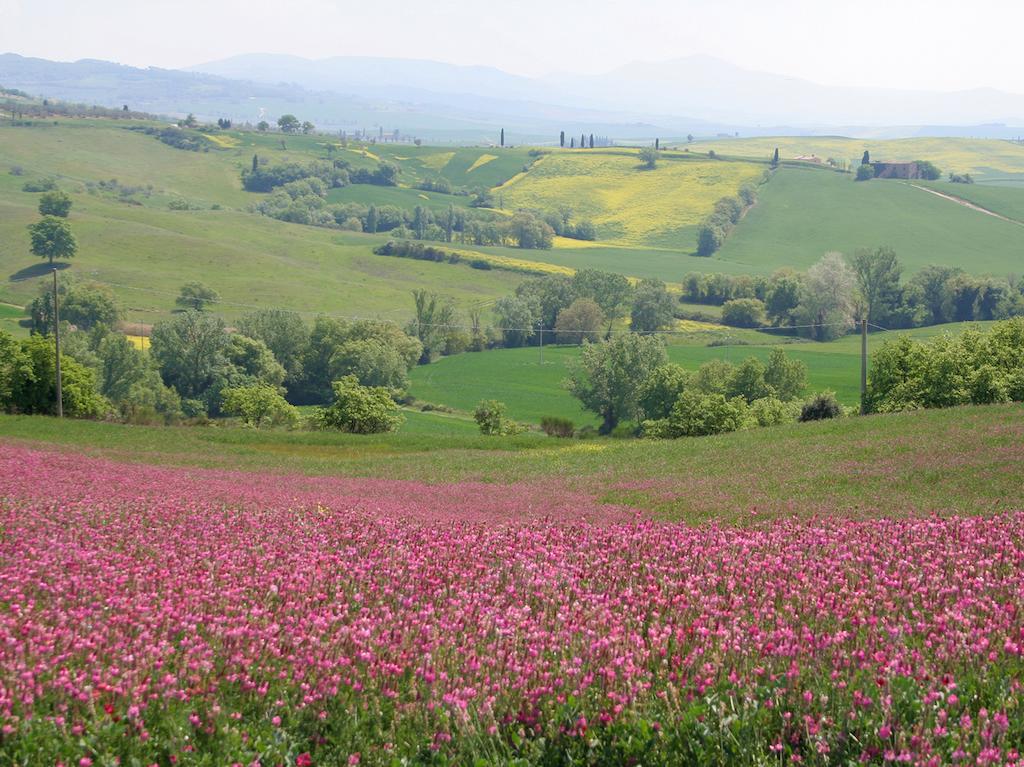 Agriturismo Poggio Tobruk Pienza Exteriér fotografie