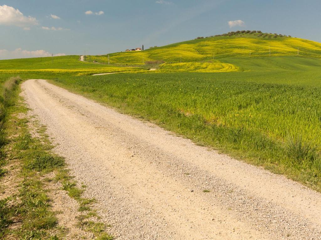Agriturismo Poggio Tobruk Pienza Exteriér fotografie