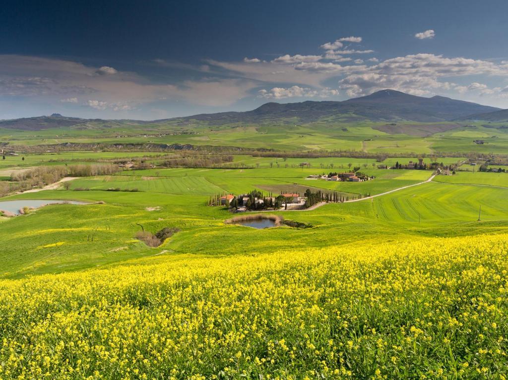 Agriturismo Poggio Tobruk Pienza Exteriér fotografie